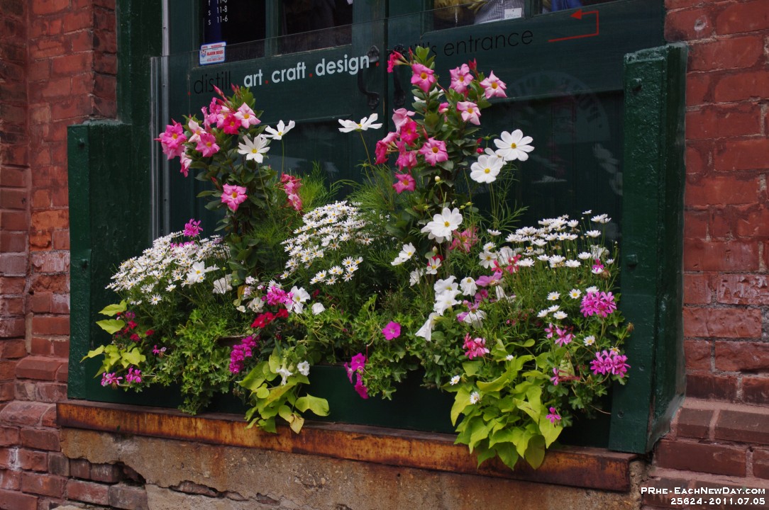 25624aRo - Vacationing, just Beth and I, on the Toronto waterfront - Hop-on - Hop-off bus tour